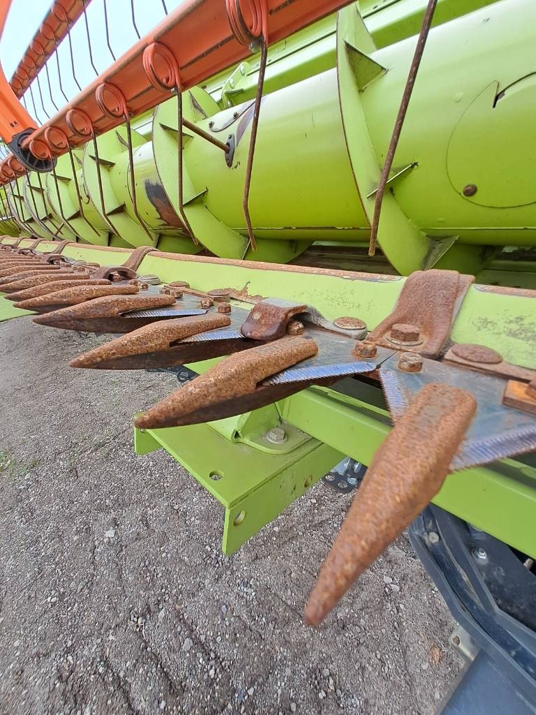 CLAAS LEXION 770 TT / 2019 - Image 32
